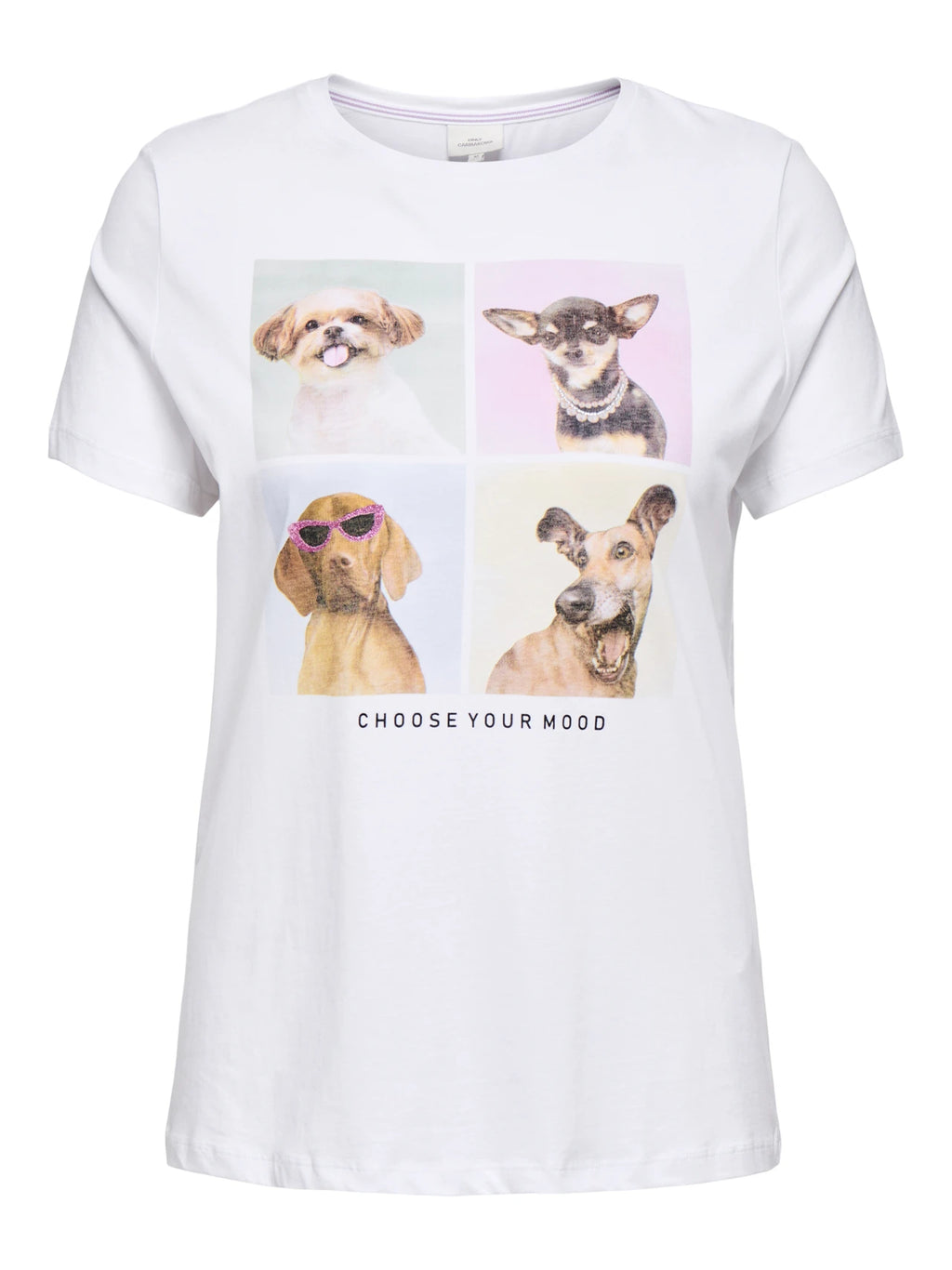 T-Shirt Dogs Bianca